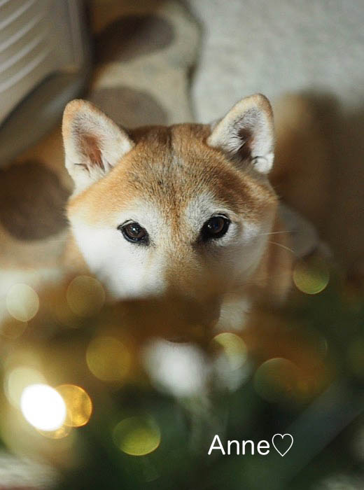 18日午前ブログ１