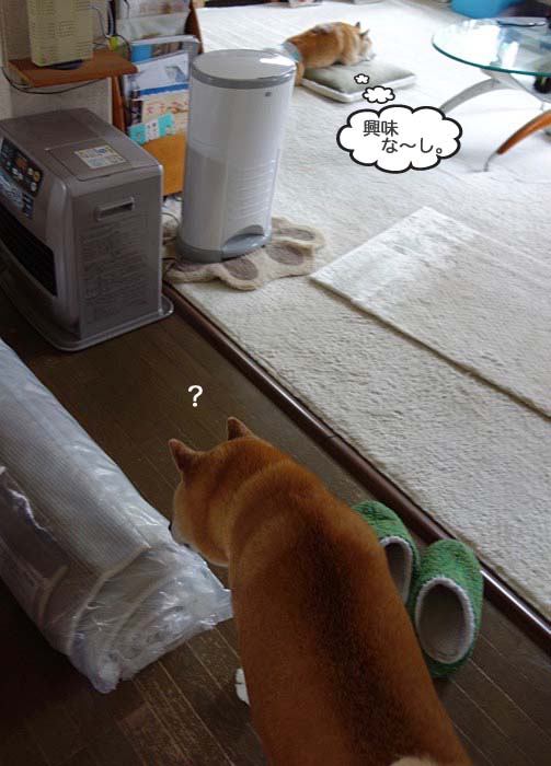 11日ブログ２