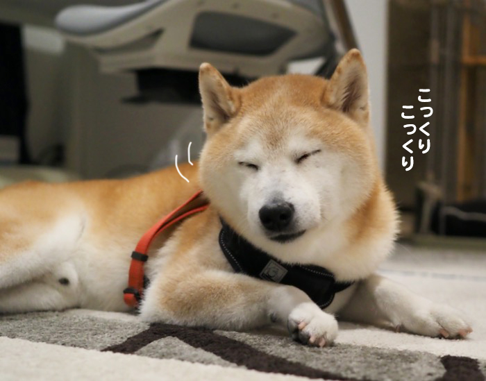 23日夕ブログ８