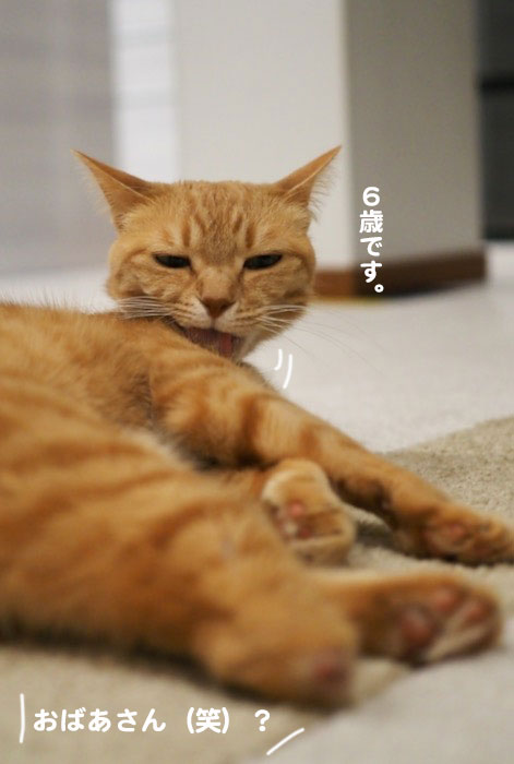 7日夕ブログ８