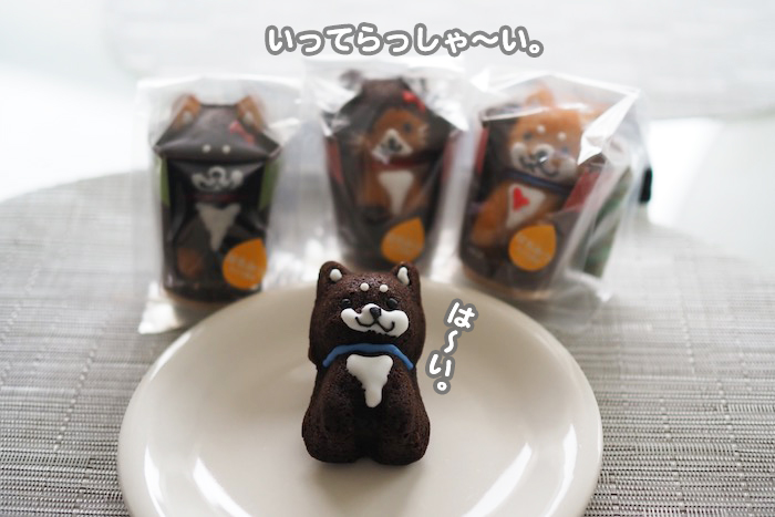 12日夕ブログ11