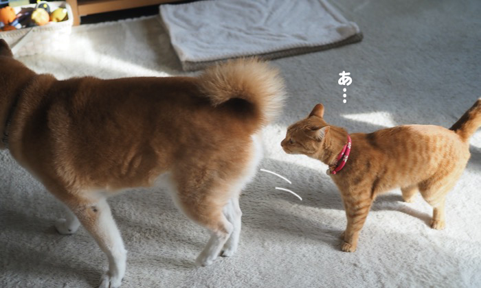 24日夕ブログ６