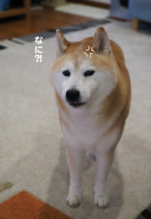 21日ブログ２