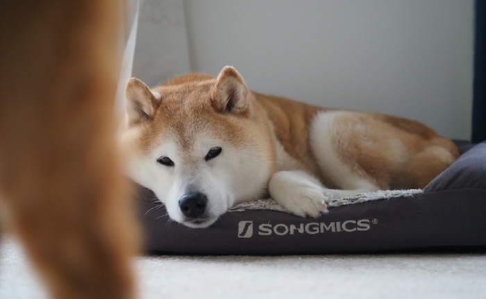 1日ブログ６