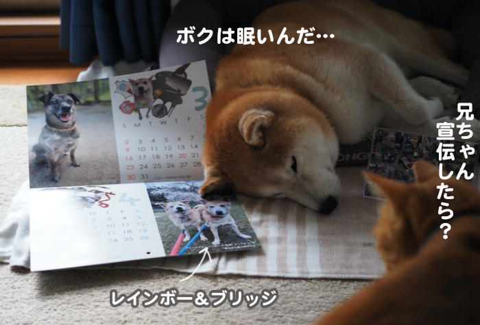 18日夕ブログ４