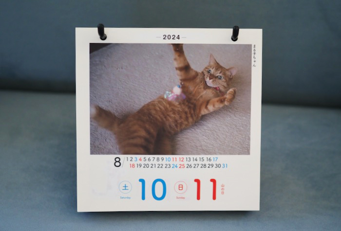 10日夕ブログ５