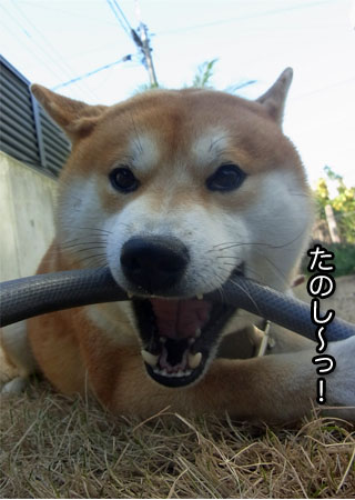 28日ブログ7.jpg