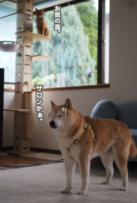 9日夕ブログ３