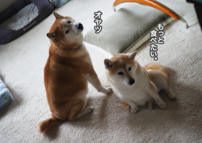 19日ブログ３