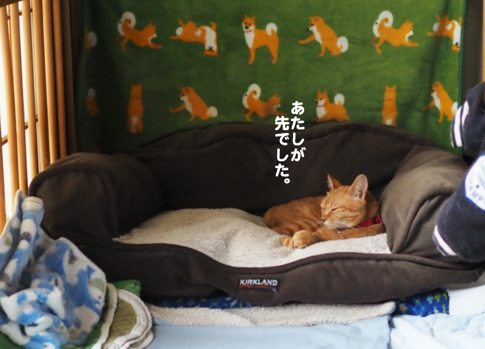 21日ブログ５