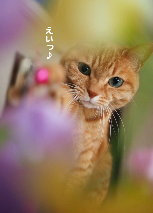 4日ブログ５