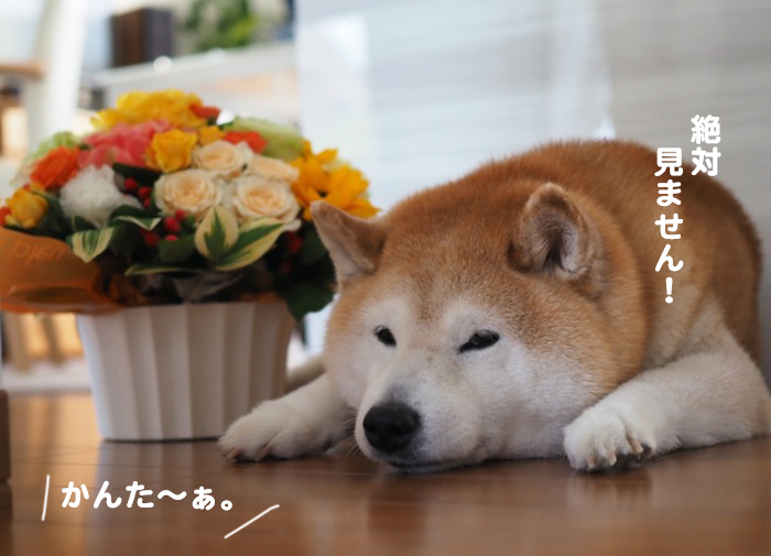 1日夕ブログ１２