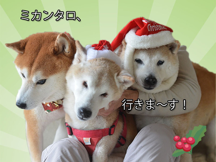 22日ブログ7