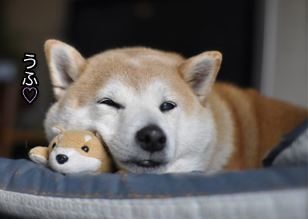 17日ブログ11.jpg