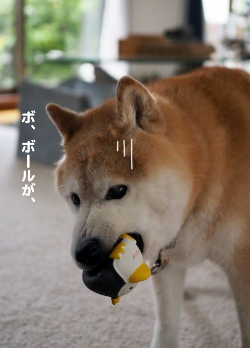 8日夕ブログ３