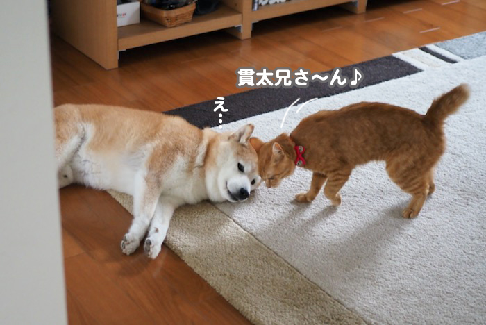 9日夕ブログ２