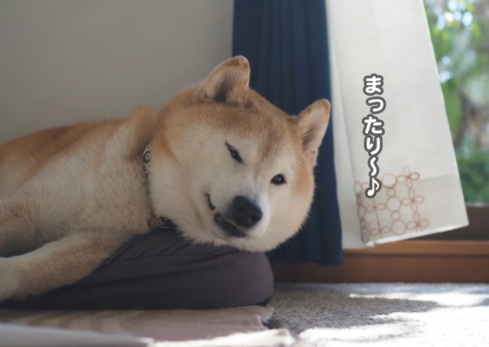 31日夕ブログ２