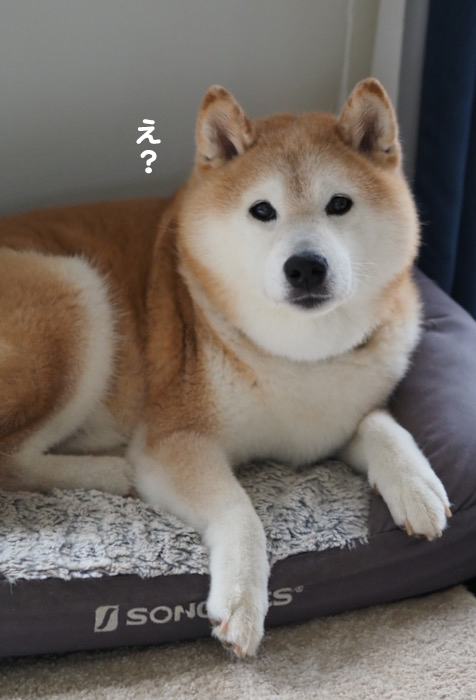 6日ブログ１