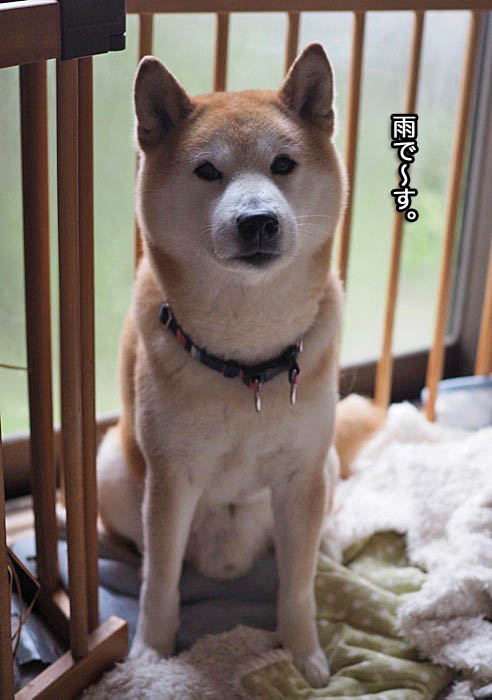 1日ブログ２