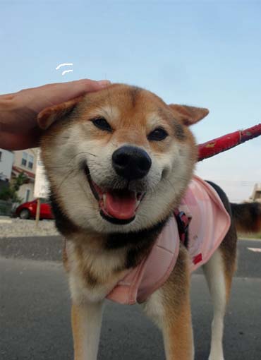 28日ブログ17.jpg