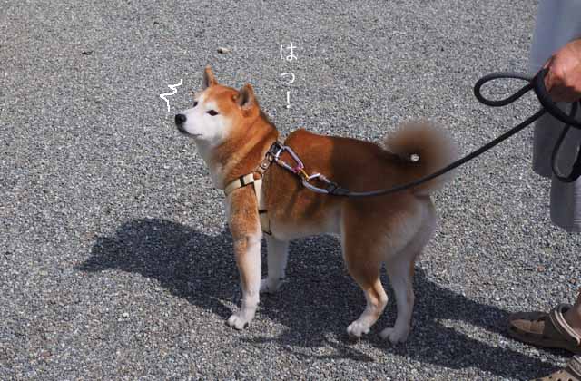 20日ブログ１２