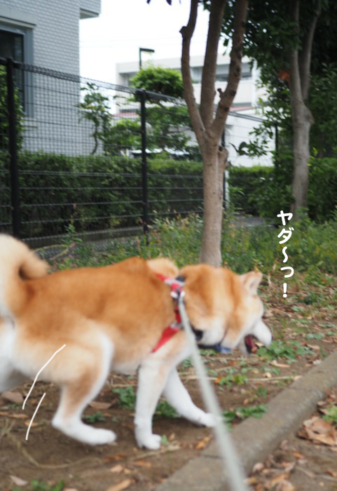 21日ブログ3