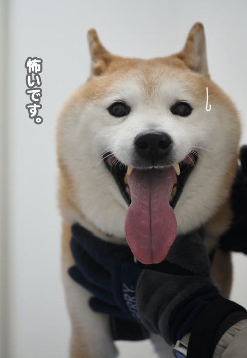 30日夕ブログ５