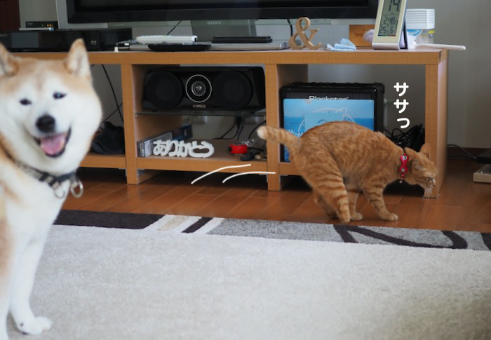 15日夕ブログ１５