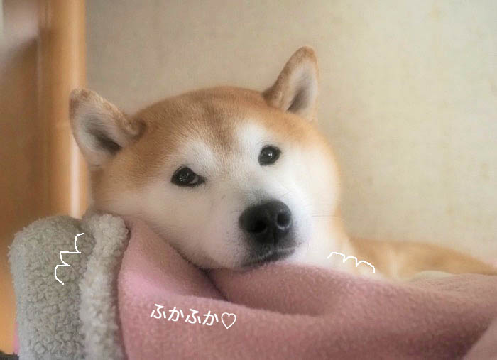 8日ブログ３