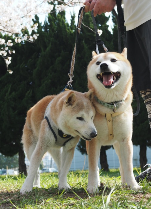 2日夕ブログ２０