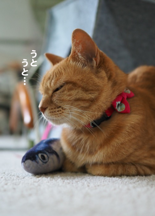 17日夕ブログ１２