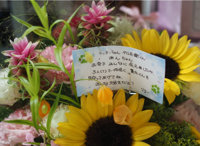 13日ブログ３
