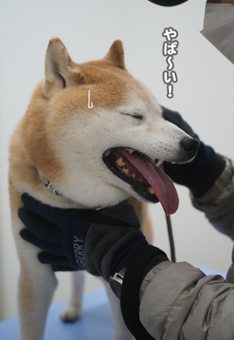 30日夕ブログ４jpg