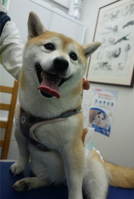 24日夜ブログ２
