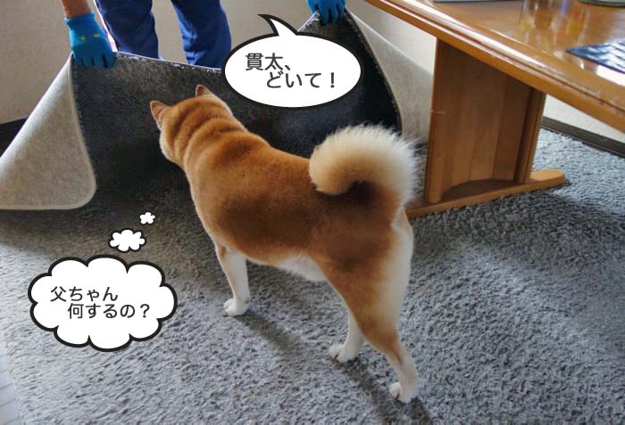 11日ブログ３