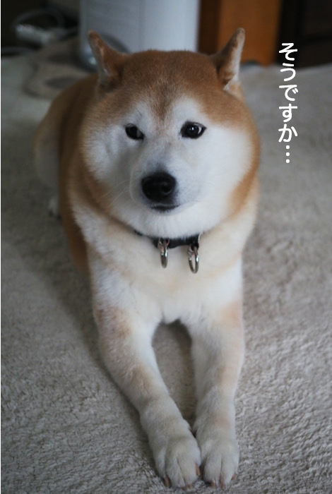 23日ブログ３