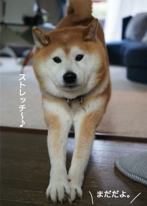 25日夕ブログ１