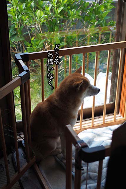 8日ブログ3