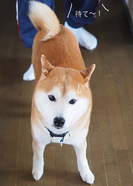 25日ブログ3