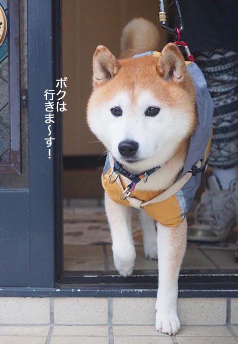 15日夜ブログ７