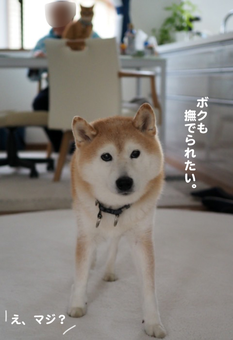 30日ブログ３