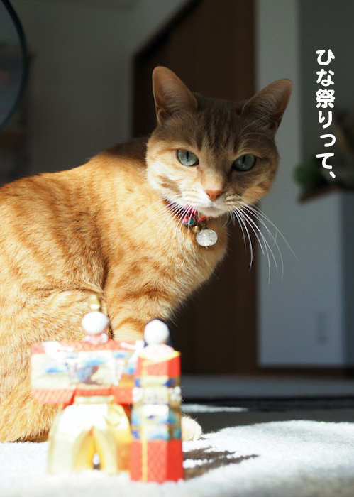 3日ブログ７