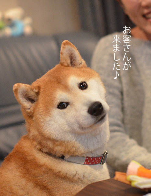 26日ブログ3