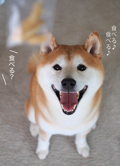 15日ブログ5