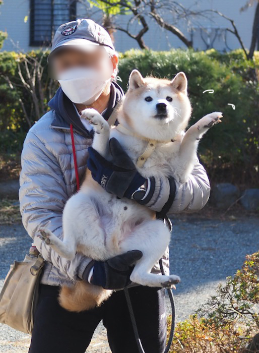 10日夕ブログ８