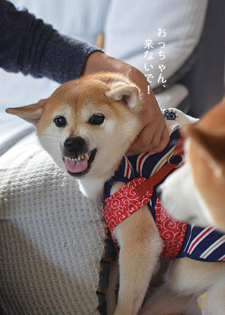 29日ブログ9