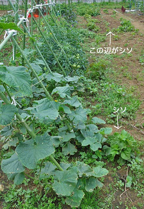 14日ブログ3