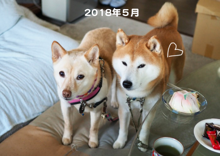 9日ブログ７