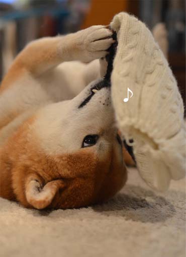 28日ブログ9.jpg