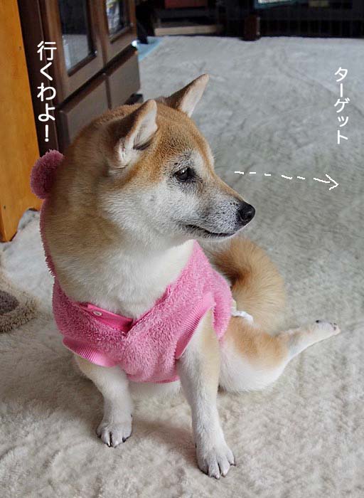 1日夜ブログ3
